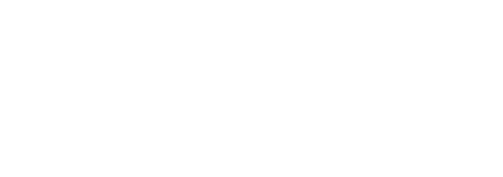 AA District 21 & 22 logo